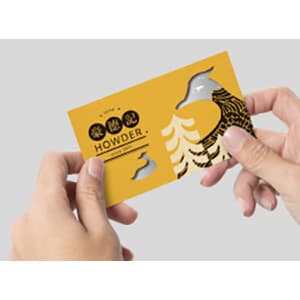 41T銀箔卡(單霧)+230g印尼雲彩