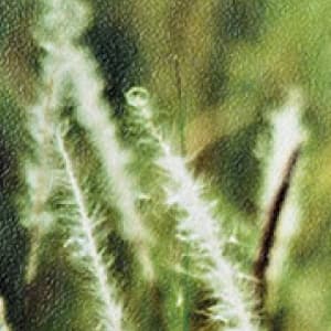 常見邀請卡套組(細紋紙)