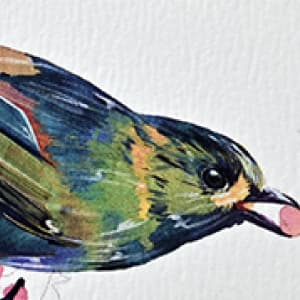 常見邀請卡套組(雅紋紙)